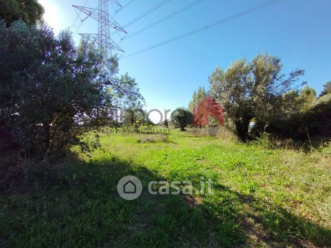 Terreno agricolo in commerciale in Località Portaccia