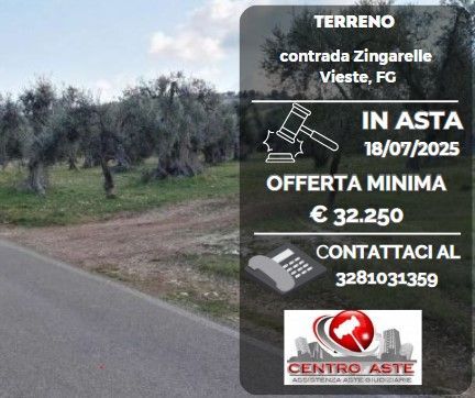 Terreno agricolo in commerciale in Via Dante Alighieri