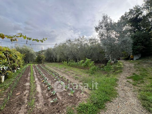 Terreno agricolo in commerciale in Via delle Ginestre