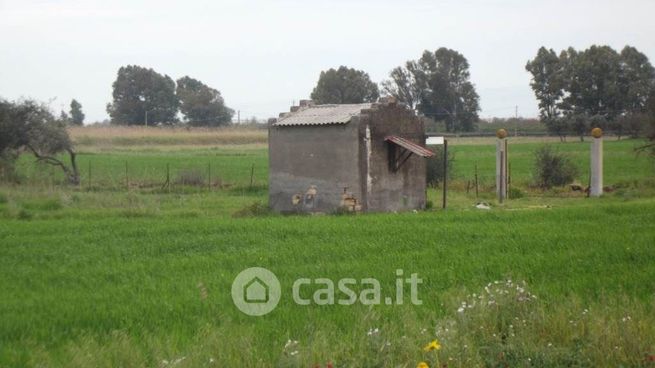 Terreno agricolo in commerciale in 