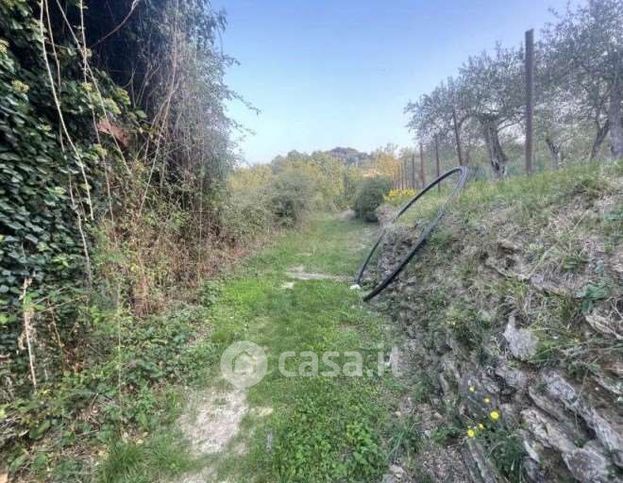 Terreno agricolo in commerciale in Via Madonna della Neve