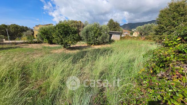 Terreno edificabile in residenziale in Contrada Calabro