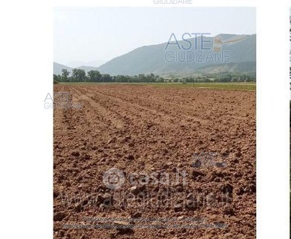 Terreno agricolo in commerciale in 