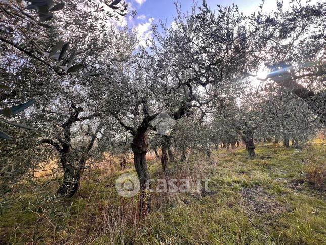 Terreno agricolo in commerciale in Via Bracciale