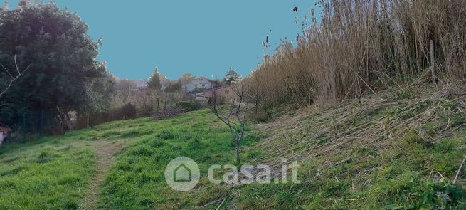 Terreno agricolo in commerciale in 