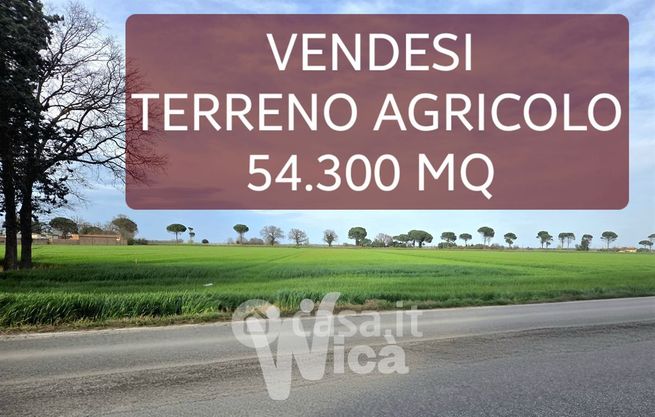 Terreno agricolo in commerciale in 