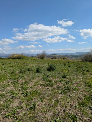 Terreno agricolo in commerciale in Via Santa Maria