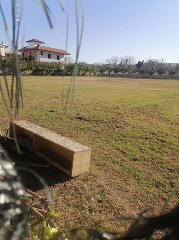 Terreno agricolo in commerciale in Via Grotta dell'Olmo 7