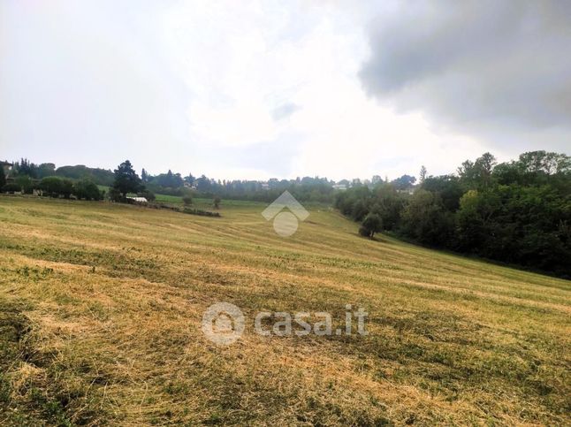 Terreno agricolo in commerciale in Via Trasversale Marecchia 5680