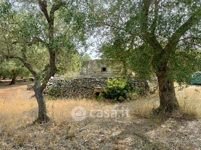 Terreno agricolo in commerciale in Strada Provinciale 134