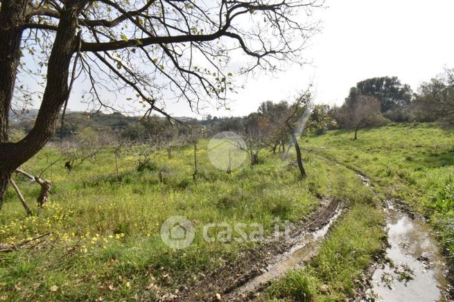 Terreno agricolo in commerciale in Via San Pietro