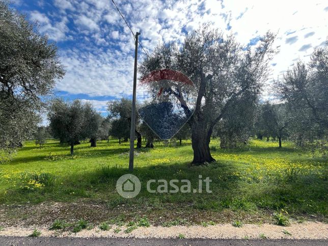 Terreno agricolo in commerciale in Contrada Marchionna