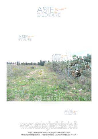 Terreno agricolo in commerciale in Rio San Girolamo