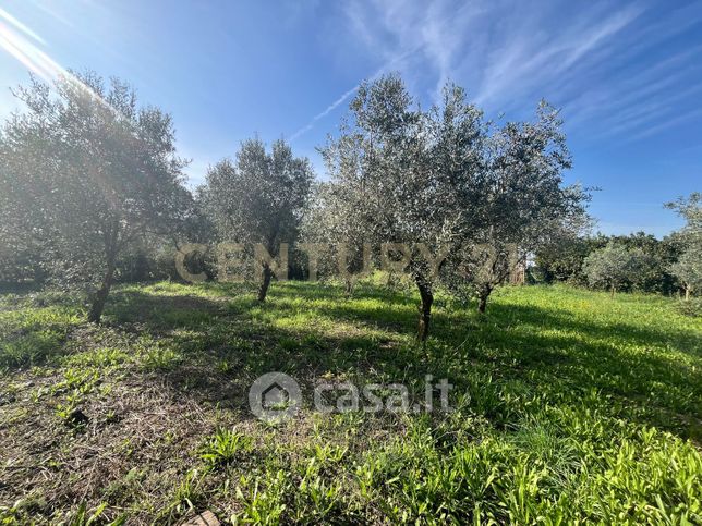 Terreno agricolo in commerciale in Strada del Querciolo