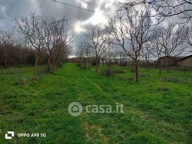Terreno agricolo in commerciale in Via del Castagno