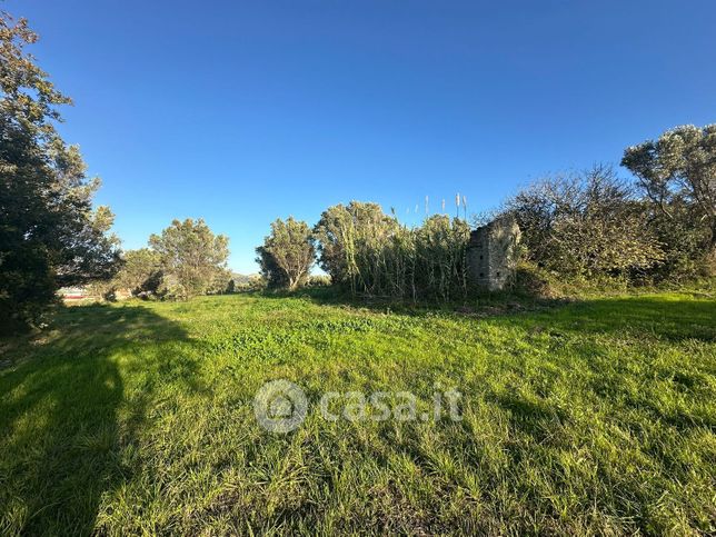 Terreno agricolo in commerciale in Viale Principessa