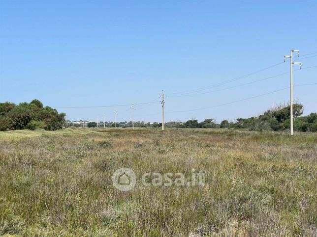 Terreno agricolo in commerciale in Viale Haloha