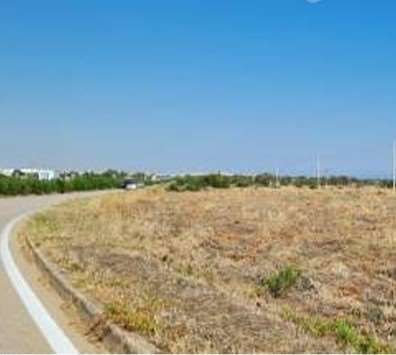 Terreno agricolo in commerciale in Strada Statale 16