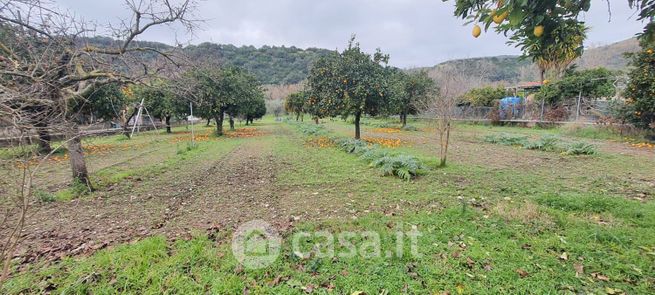 Terreno agricolo in commerciale in 