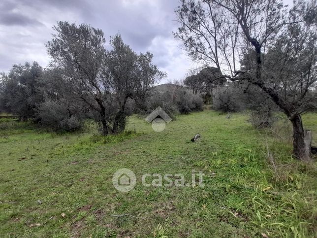 Terreno agricolo in commerciale in Strada San Vittorino 20