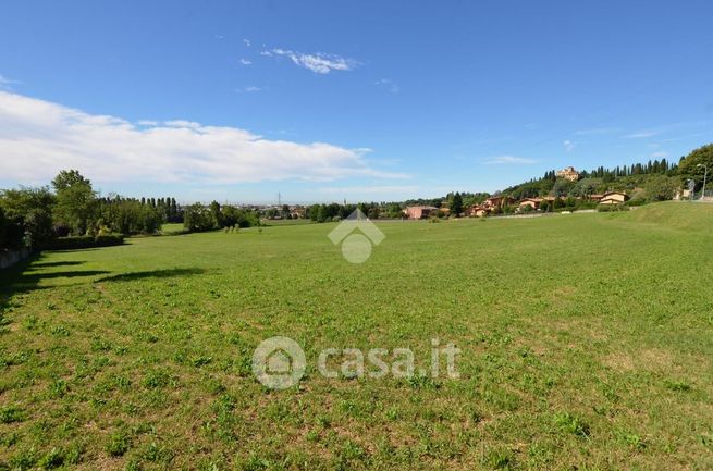 Terreno agricolo in commerciale in Via di Sarripoli 133