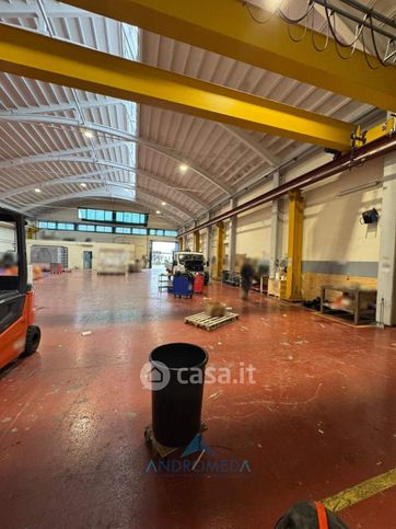 Capannone in commerciale in 