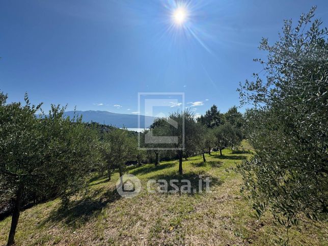 Terreno agricolo in commerciale in Via San Ambrogio 30