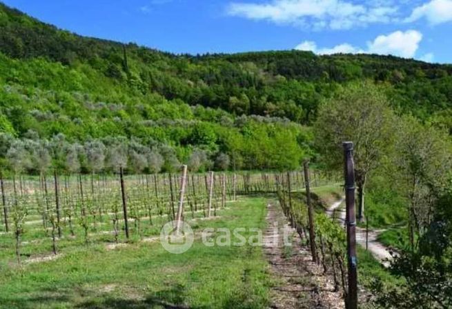 Terreno agricolo in commerciale in Via Giovanni Pascoli