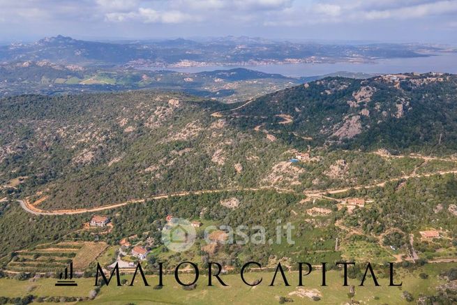 Terreno agricolo in commerciale in Strada Senza Nome