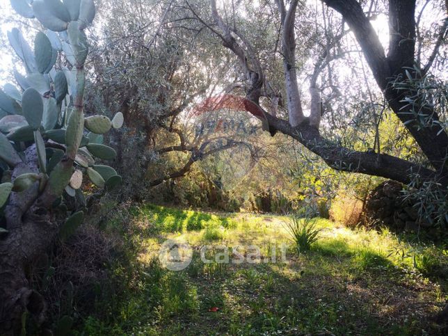 Terreno agricolo in commerciale in 