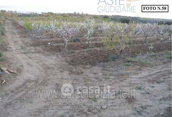 Terreno agricolo in commerciale in 