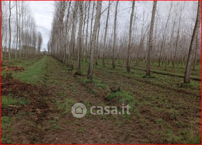 Terreno edificabile in residenziale in Strada Provinciale 192