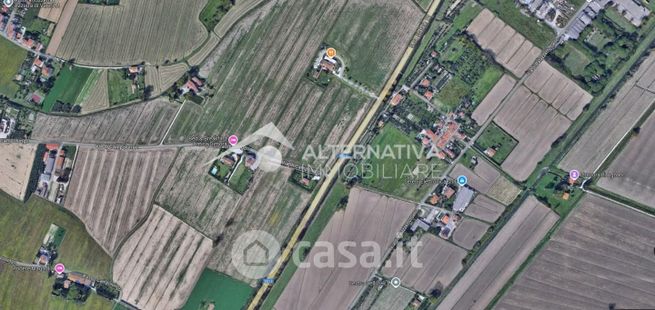 Terreno agricolo in commerciale in Via di Palazzetto Asciano