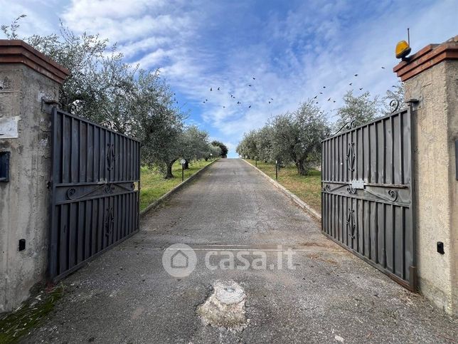 Terreno agricolo in commerciale in Via torre di jacova