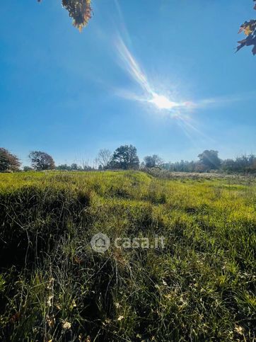 Terreno agricolo in commerciale in Strada Gorgolicino