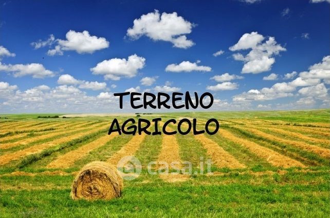 Terreno agricolo in commerciale in 