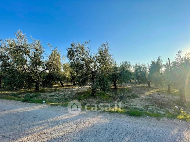 Terreno agricolo in commerciale in Via Minervino