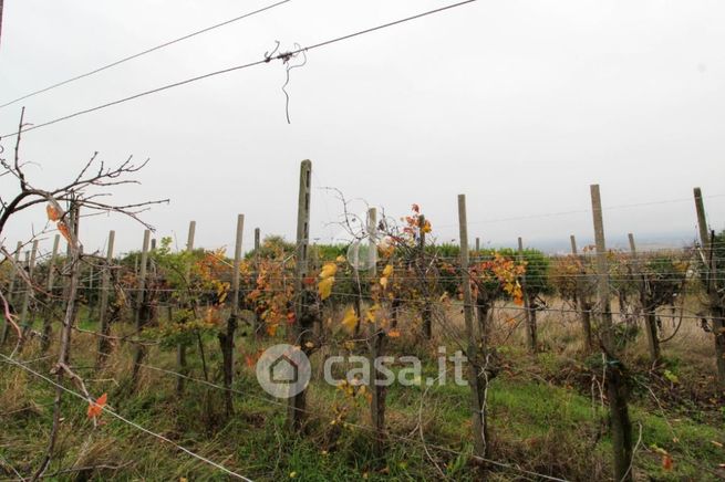 Terreno agricolo in commerciale in Via della Malpensata