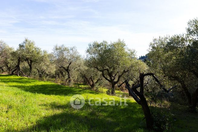 Terreno edificabile in residenziale in Strada Colle Pizzuto 11