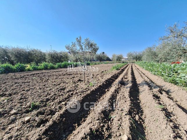 Terreno agricolo in commerciale in 