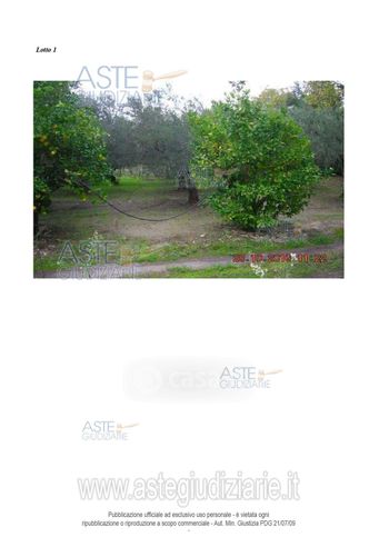 Terreno agricolo in commerciale in 