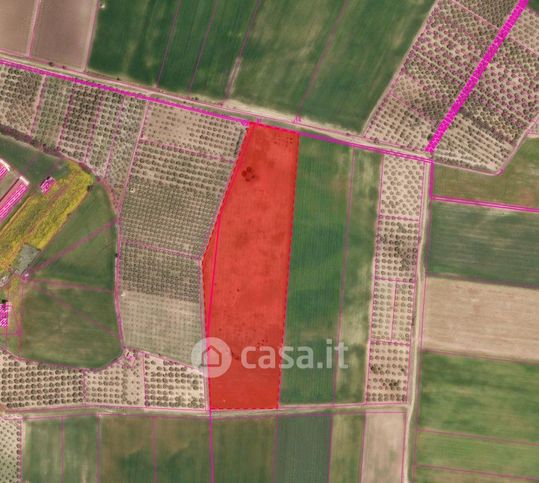 Terreno agricolo in commerciale in Strada di trasformazione fondiaria