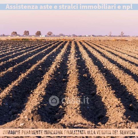 Rustico/casale in residenziale in Via Angelo Siffredi 8