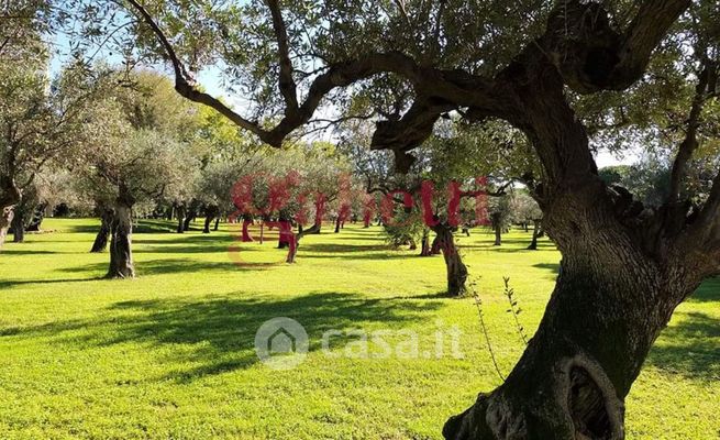 Terreno agricolo in commerciale in 