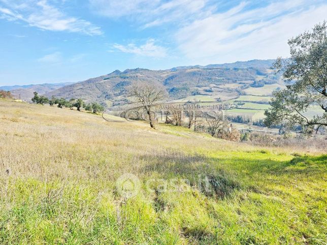 Terreno agricolo in commerciale in