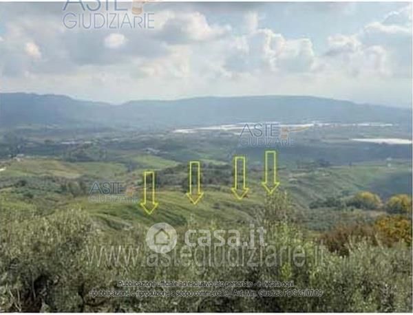 Terreno agricolo in commerciale in 