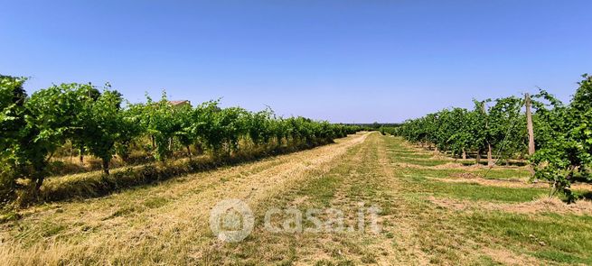 Terreno agricolo in commerciale in Via Campagna di Roma