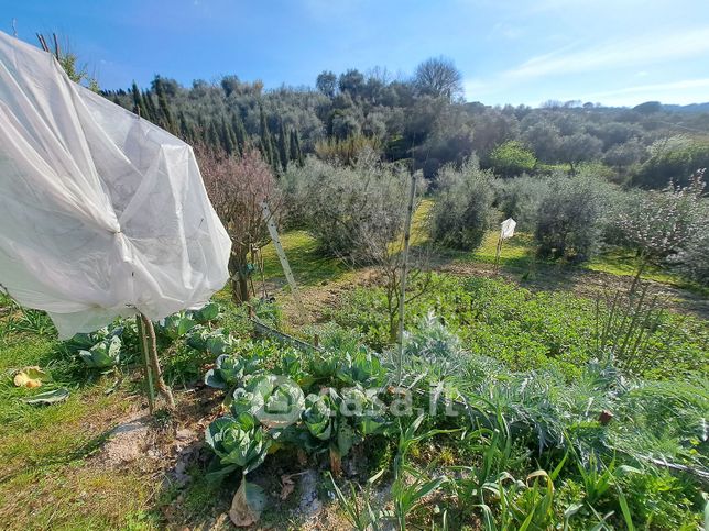 Terreno agricolo in commerciale in Via Cesare Pavese