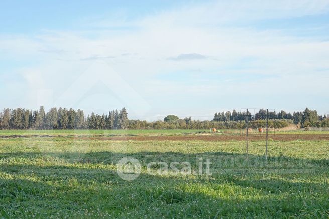 Terreno agricolo in commerciale in 