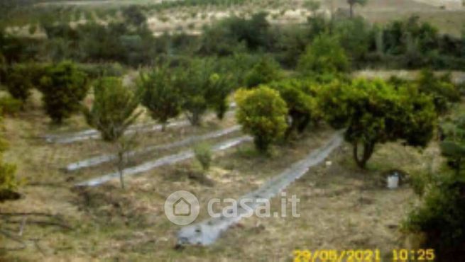 Terreno edificabile in residenziale in Strada Provinciale 13